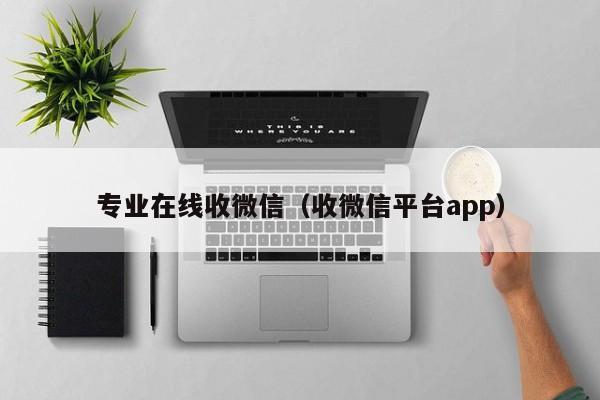 专业在线收微信（收微信平台app）