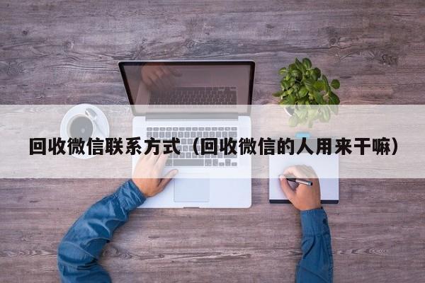 回收微信联系方式（回收微信的人用来干嘛）