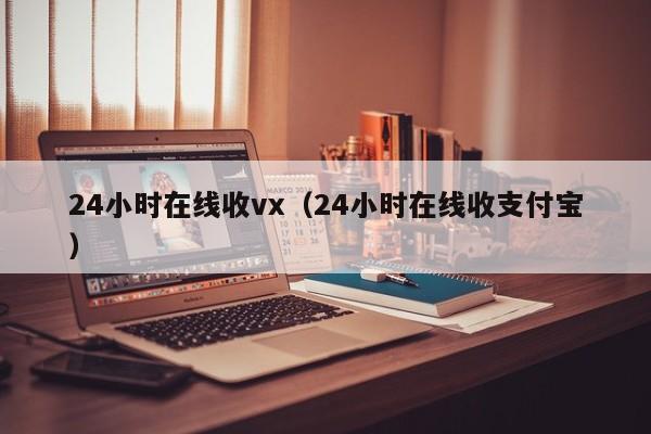 24小时在线收vx（24小时在线收支付宝）