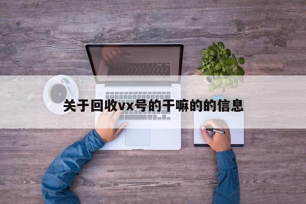 关于回收vx号的干嘛的的信息