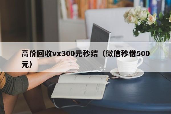 高价回收vx300元秒结（微信秒借500元）